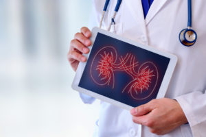Kidney Doctor