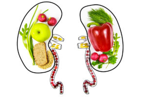 Healthy Kidney Tips - Norfolk, MA