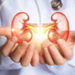 Doctor supports kidneys healthy concept design .