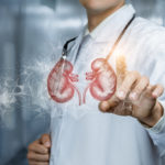 Doctor pointing at graphic of kidneys