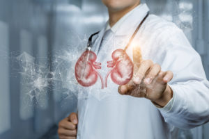 Doctor pointing at graphic of kidneys