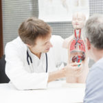 Doctor pointing out kidneys