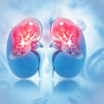 Chronic Kidney Disease