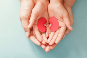 A photo of an adult and child holding a kidney shaped piece of paper.