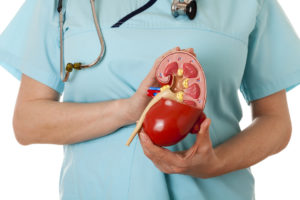 Kidney Function