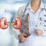 Kidney doctor seeing kidney Image