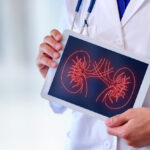 Naphrologist showing a kidney on a tablet closeup