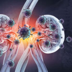 Kidney disease concept. Viral infection. 3d illustration