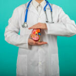 Doctor hands holding kidneys shape. Health care, medical insurance concept.