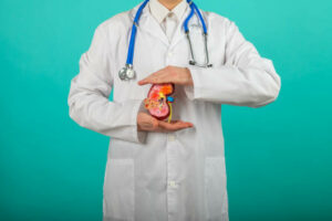 Doctor hands holding kidneys shape. Health care, medical insurance concept.