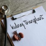 Kidney model, stethoscope and paper clipboard with text KIDNEY TRANSPLANT. Medical and healthcare concept