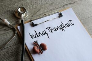Kidney model, stethoscope and paper clipboard with text KIDNEY TRANSPLANT. Medical and healthcare concept