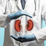 Concept of a healthy kidneys