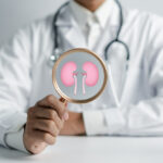 Doctor holding Magnifier glass focus to kidney organ icon