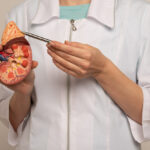 Image of a male nephrologist pointing to an anatomical model of a kidney he is holding in his hand.