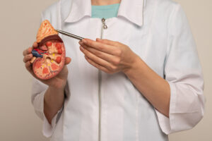 Image of a male nephrologist pointing to an anatomical model of a kidney he is holding in his hand.