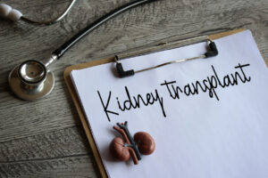 An image displays a kidney model, a stethoscope, and a clipboard with the words Kidney Transplant written on it.