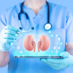 A male nephrologist analyzes kidney function using his tablet.