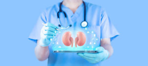 A male nephrologist analyzes kidney function using his tablet.