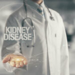 A nephrologist holding in hand Kidney Disease.