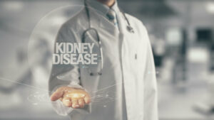 A nephrologist holding in hand Kidney Disease.