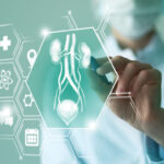 A female doctor holding graphic virtual visualization model of Bladder and Kidneys organ in hands for diagnosis of kidney disease.