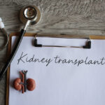 Kidney model, stethoscope and paper clipboard with text KIDNEY TRANSPLANT.