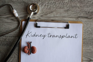 Kidney model, stethoscope and paper clipboard with text KIDNEY TRANSPLANT.